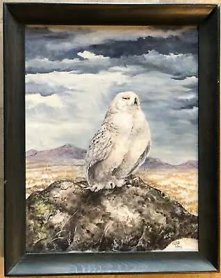 VTG 1976 Early Work Framed Edward DuRose Acrylic Wildlife Owl Painting • $275