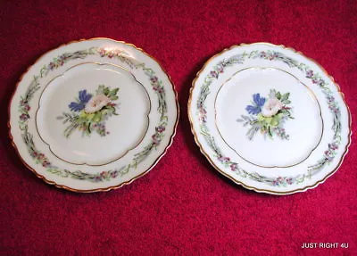 {SET OF 2} Haviland H&Co (Morning Glory) 6 3/8  BREAD PLATES Exc (3 Left) • $16.40