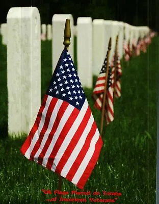 *Military Postcard- US Flag's Placed On Tombs...of American Veterans  (Postcard) • $4.28