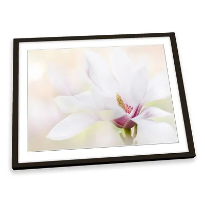 Purity White Floral Magnolia Flower FRAMED ART PRINT Picture Artwork • $28.58