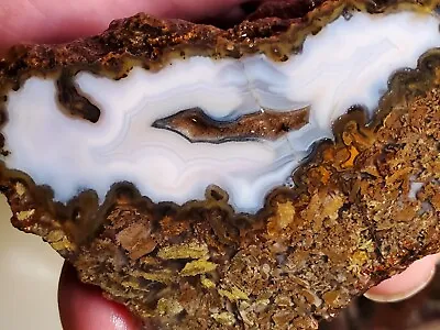 Walker Ranch Banded Sagenite Plume Alpine Texas 175g Lapidary Gemstone  • $57.77