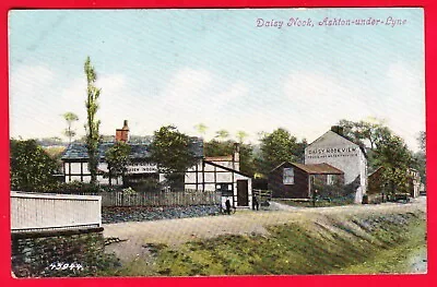 Postcard - DAISY NOOK Ashton-under-Lyne [Valentine's] #45944 C1905 HEN COTE • £3