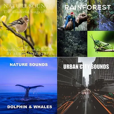 Nature Sounds Cd X4 Cd Bundle Sounds Of Birds Rainforest Dolphins City  • £8.99
