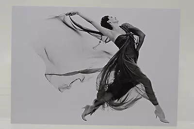 $5.38 • Buy RICHARD AVEDON:  CYD CHARISSE  Art Postcard 