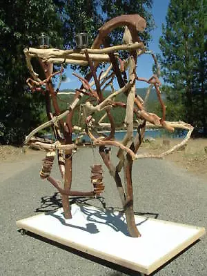 HUGE MACAW  AFRICAN GRAY Sandblasted Manzanita Parrot Tree Stand Bird Perch GYM • $3400