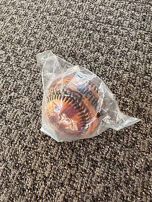 Aberdeen Ironbirds SEALED Woodprint Baseball - Official Minor League Collectible • $2.99