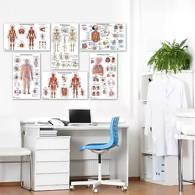 Art Of Science 6 Anatomy Posters - Medical Doctor's Office Supply Halloween Prop • $12.99