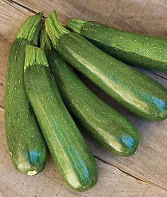 Zucchini Dark Green Squash NON-GMO Heirloom 25 Zucchini Seeds Vegetable Seed • $1.99