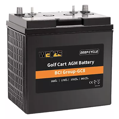 Weize Golf Cart Battery 8V 182AH BCI Group GC8 High Capacity & Maintenance Free • $249.99