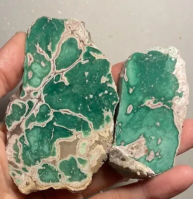 Lucin Variscite Rough Slabs! Utah • $15