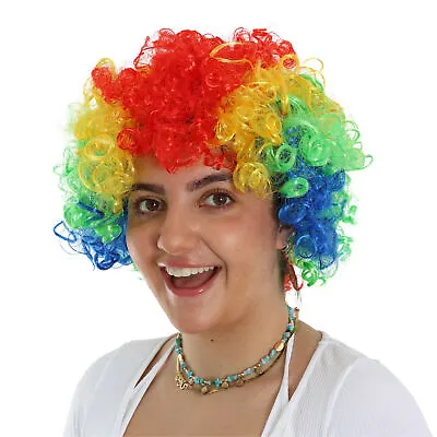 Rainbow Pride Afro Wig Multi Coloured Funny Hair Unisex Fancy Dress Lot • £9.99