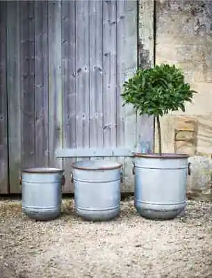 Galvanised Malmesbury Planters 3 Sizes Rustic Grey Metal Plant Pot Bucket • £45