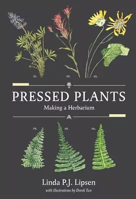 Pressed Plants : Making A Herbarium Paperback By Lipsen Linda P. J.; Tan D... • $21.26