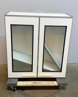 30  Chemsurf Wood Overhead Lab Casework Cabinet • $242