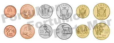 Zambia Set Of 6 Coins 1 2 25 50 Ngwee 1  10  Kwacha 1983 1992 UNC Animals • $6.25