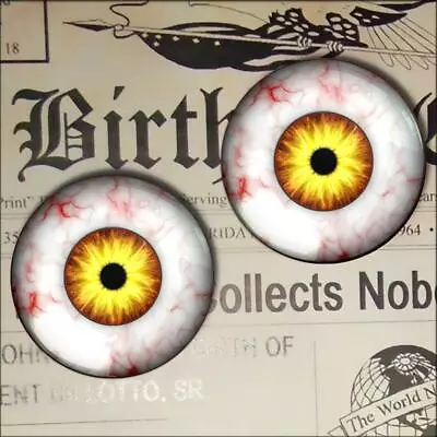 Yellow Monster Eyes Realistic Glass Taxidermy Eyeball 16mm Set • $8.99
