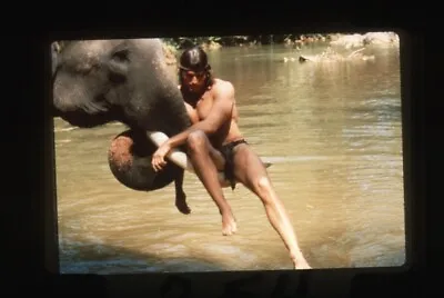 Tarzan Miles O'Keeffe Barechested Riding Elephant Original 35mm Transparency  • $24.99