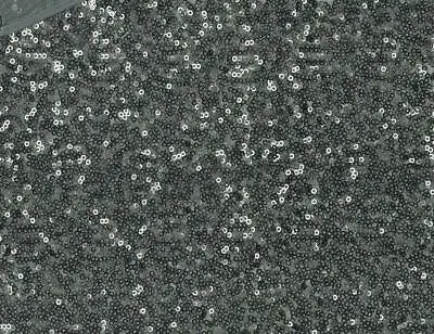 Luxury SHINY Sequin Dance Wear Fabric Material - GREY • $195.01