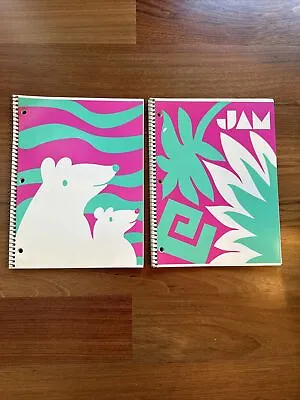 2 (Two) 90's Vintage Notebooks College Ruled NEW Pink Aqua School Supplies • $14.99
