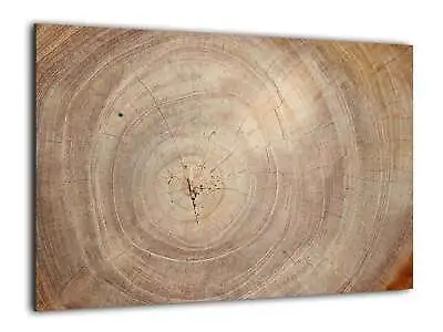 ALLboards Magnetic Glass Board Wood Grain Tree Wood Slice Print Wall Art  • £52.85
