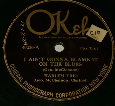 Harlem Trio Muddy Water Blues I Ain't Gonna Blame It On The Blues 1921 ShellacLp • $40