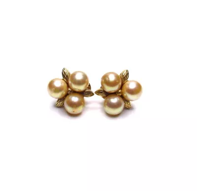 Vintage Ciner Pearl Clip Earrings Signed Costume Jewelry  • $54.99