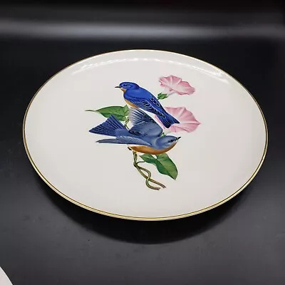 American Song Birds Plate Syracuse China 10.5  Eastern Bluebird Hedge Bindweed • $11.96