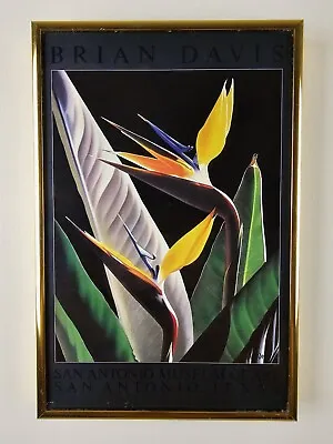 Brian Davis Bird Of Paradise San Antonio Museum Of Art Print 11.5x7.5 Gold Frame • $30