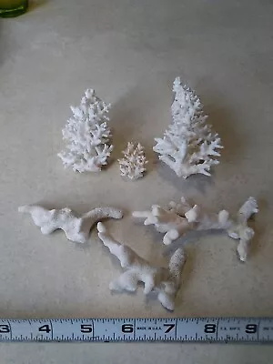 Lot Of 6 Natural White Ocean Coral Brain Branch Decor Aquarium • $29.95