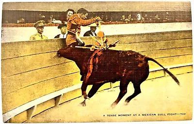 Matador Mexican Bull Fighter Victorious Arena Postcard  B • $5.88
