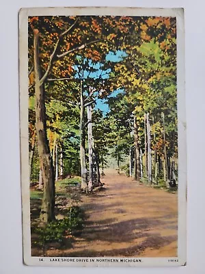 Vintage Postcard - Lake Shore Drive In Northern Michigan (Petoskey) • $1