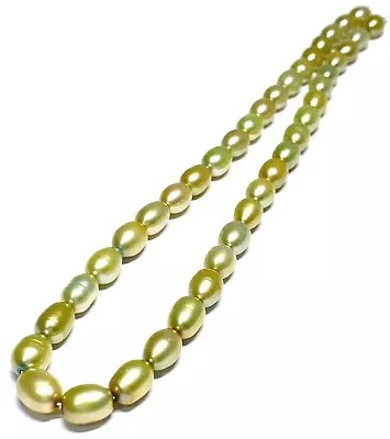 Oval 7 X 8.5mm Beautiful Champagne Green Cultured FW Pearl 16  Strand • $9.99