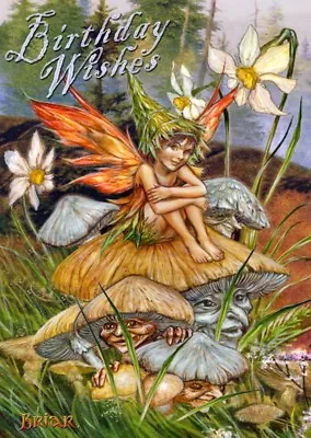 Fairy Pagan Wicca Alternative Greetings Card Birthday Wishes Mushroom Fairy • £2.90