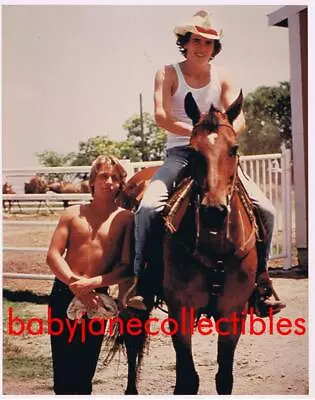 MATT DILLON & SHIRTLESS EMILIO ESTEVEZ Beefcake W HORSE (807) • $14.99