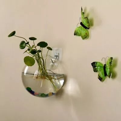 Wall Mounted Vase Water Culture Glass Bottle Flowerpot MicroLandscape Handicraf✨ • £4.75