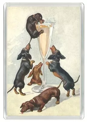 Dachshund Dogs & Champagne Glass Dog Art Print Novelty Fridge Magnet Great Gift • £3.49