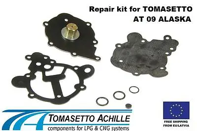 Tomasetto AT09 LPG Reducer / Vaporizer Reparation Kit • $22.99