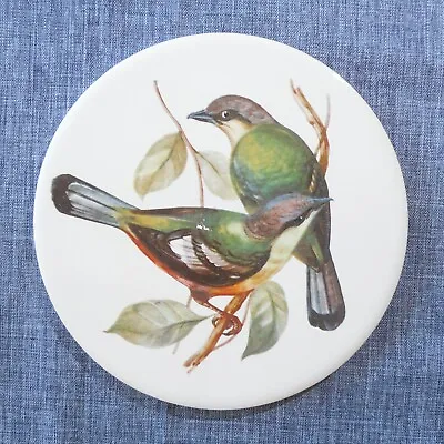 H & R Johnson Round Tile Trivet From ENGLAND Green Songbird Exotic Birds Nature • $9.99