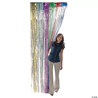 Rainbow Metallic Fringe Door Curtains • $6.95
