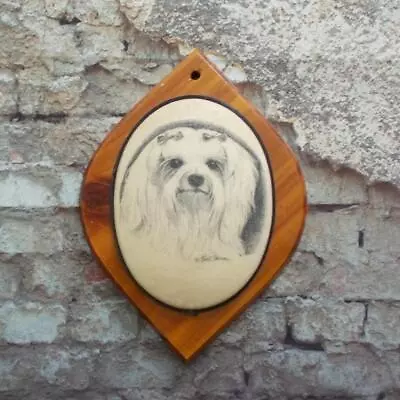 Vintage Maltese Dog Wood Plaque Earl Sherman Sugared Finish • $24.98