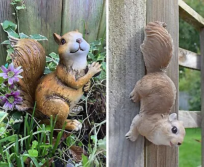 Climbing Red Squirrel Garden Ornament Resin Fence Wall Hanging Animal Sculpture • £13.99