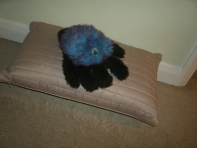 £8 • Buy Funny Spider Glove Puppet