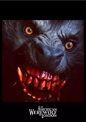 £2.99 • Buy An American Werewolf In London (1981) - 014 - John Landis / Rick Baker