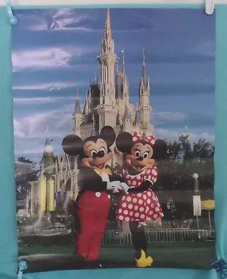 Disney Magic Kingdom Mickey And Minnie Mouse Poster • $8.99