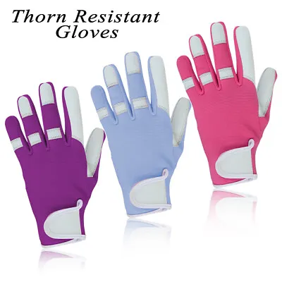 Ladies Leather Gardening Gloves Thorn Resistant Proof Garden Work Gloves Summer • £4.99