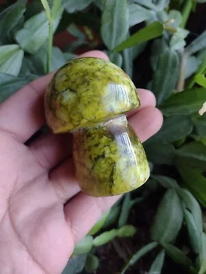 Green Opal Mushroom Crystal Stone Carving  • $28