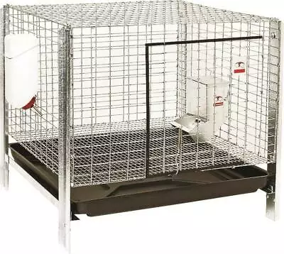 New Miller Pet Lodge Rhck1 24  Complete Rabbit Hutch Animal Cage Kit 0058057 • $96.95