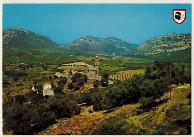Postcard - Island Of Love - Vineyard Of Corsica - Ed.ajax  • $2.15