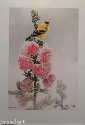 Michael DUMAS   Goldfinch & Hollyhock   Limited Edition Art Print MINT • $57