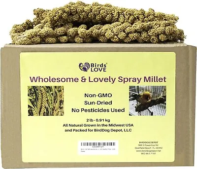 Birds LOVE Wholesome & Lovely Spray Millet Natural Treat Perfect For Parrots 2lb • $31.99